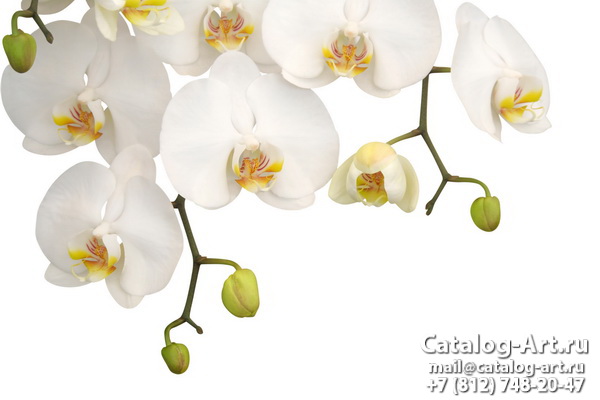 картинки для фотопечати на потолках, идеи, фото, образцы - Потолки с фотопечатью - Белые орхидеи 28